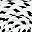 White Black