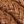 Red Brown