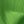 Grass Green