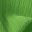 Grass Green
