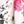 White Pink