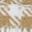Coffee Color