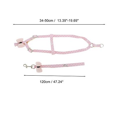 Bow Pet Leash Kit Durable Dog Leash Kit for Dog