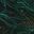 Camouflage Green