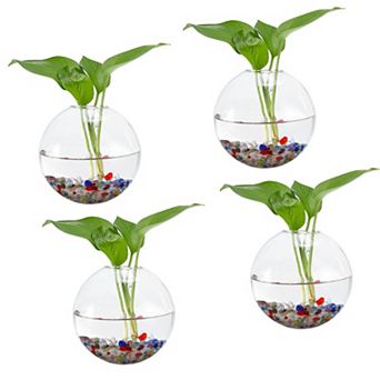 4 Pack Oblate Wall Hanging Glass Terrarium Planters 5x5inch, Transparent