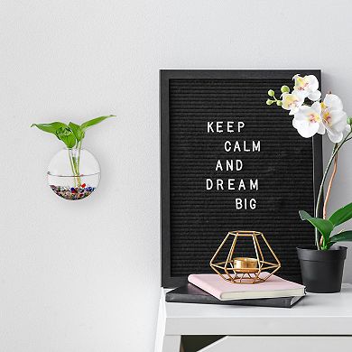 4 Pack Oblate Wall Hanging Glass Terrarium Planters 5x5inch, Transparent