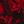 Red Black