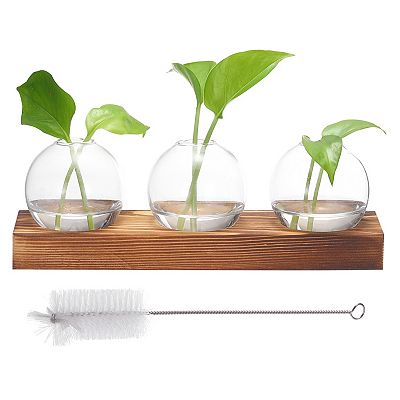 Station Propagation Plantes Sziqiqi - Vase Terrarium Verre 5 Tubes à Essai Métal Noir