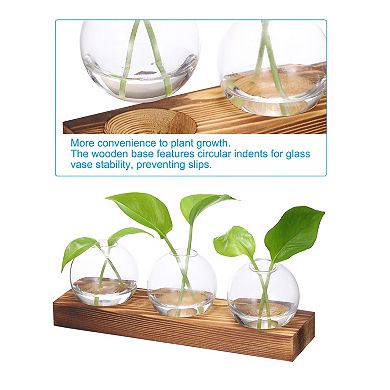 Plant Propagation Stations Glass Vases, Desktop Plant Terrarium Container 3 Bulb Flower Vase