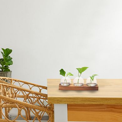 Plant Propagation Stations Glass Vases, Desktop Plant Terrarium Container 3 Bulb Flower Vase