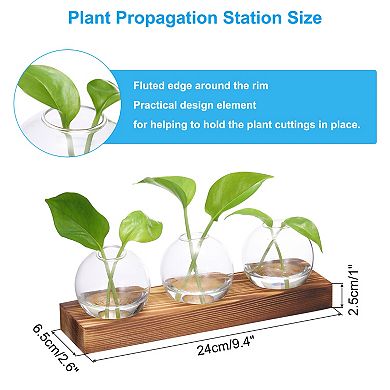 Plant Propagation Stations Glass Vases, Desktop Plant Terrarium Container 3 Bulb Flower Vase