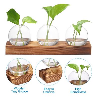 Plant Propagation Stations Glass Vases, Desktop Plant Terrarium Container 3 Bulb Flower Vase