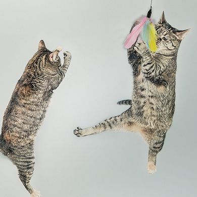 2 Pcs Cat Wand Replacement for Pet Cat Wand Refill Attachments