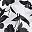 White Black Floral