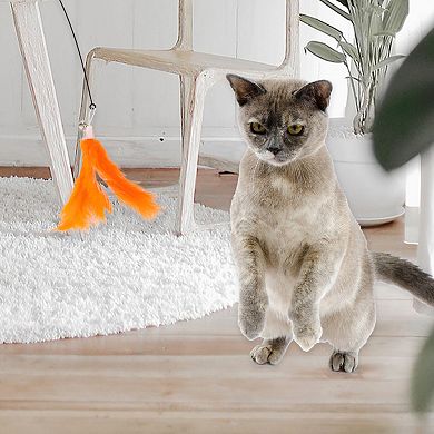 2 Pcs Feather Cat Wand Replacement for Pet Interactive, Cat Wand Refill Attachments for Cats