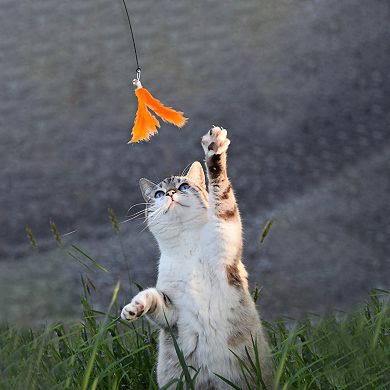 2 Pcs Feather Cat Wand Replacement for Pet Interactive, Cat Wand Refill Attachments for Cats