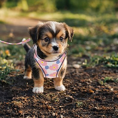 Puppy Dog Harness and Leash Set W/ Reflective Strips, Magic Tapes Pet Harness for Walkings