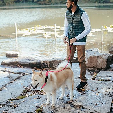 Dog Leash, Nylon Dog Leash, Sponge Handle Reflective Rope, for Dogs, Length 180cm Diameter 1/2"