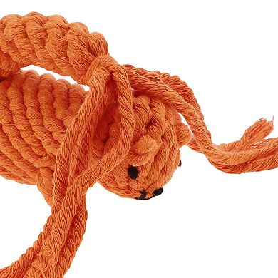 Puppy Teethings Chewer, Dog Chew Rope, Durable Braided Cotton Teeth Cleaning Rope for Cats Dogs