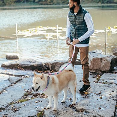 Dog Leash, Double Handle Elastic Rope, for Small Medium Large Dogs, Length 110-160cm Diameter 0.98"