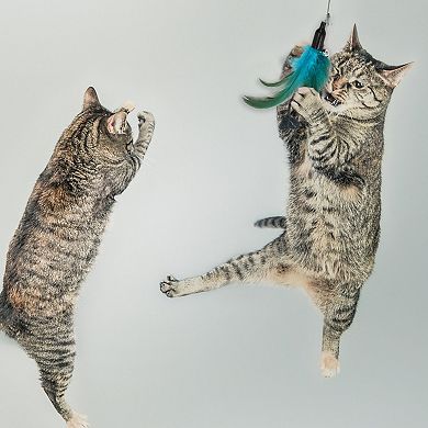 3 Pcs Cat Wand Replacement for Interactive Cat Wand Refill Attachments