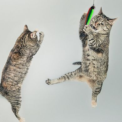 5 Pcs Cat Wand Replacement for Interactive Cat Wand Refill Attachments