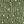 Green Dot