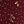 Maroon Maureen Floral