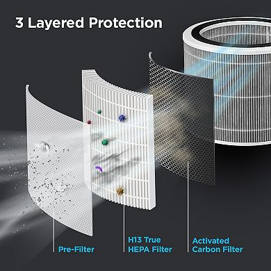 CUCKOO 2-Stage H13 True HEPA Air Purifier