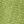 Rapid Green
