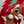 Rudolph