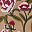 Beige Embroidery