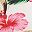 Hawaiian Floral