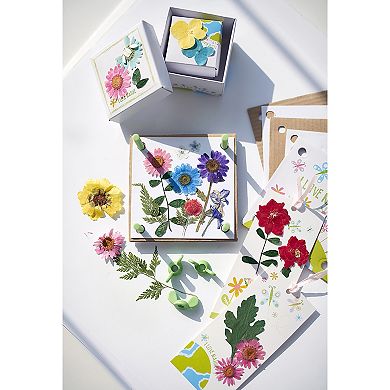 4M: Green Creativity Pressed Flower Art DIY Nature Crafts