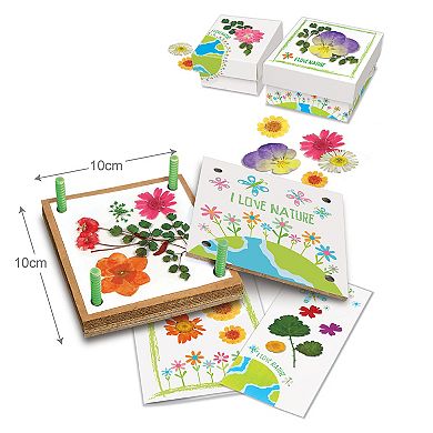 4M: Green Creativity Pressed Flower Art DIY Nature Crafts