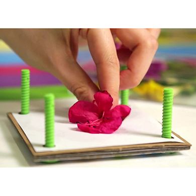 4M: Green Creativity Pressed Flower Art DIY Nature Crafts