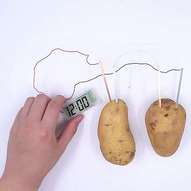 4M: Green Science Potato Clock DIY Renewable Energy Kit