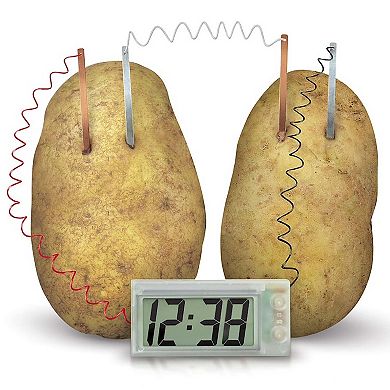 4M: Green Science Potato Clock DIY Renewable Energy Kit