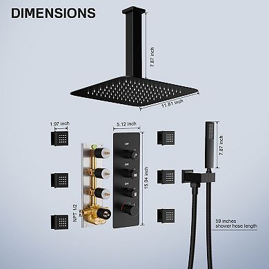 Luxury Thermostatic 3-Spray 12 in. Dual Shower Head Ceiling Mount Fixed and Handheld Shower Head