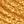 Golden Orange
