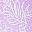 Radiant Purple Ombre