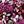 Black Berry Garland