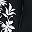 Black Embroidery