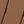 Teak