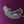 Dkpurple