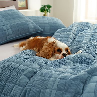 Bearpaw Glens Quilt Set with Shams