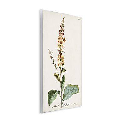 Stupell Home Decor Scientific Botanical Plant Plaque Wall Art