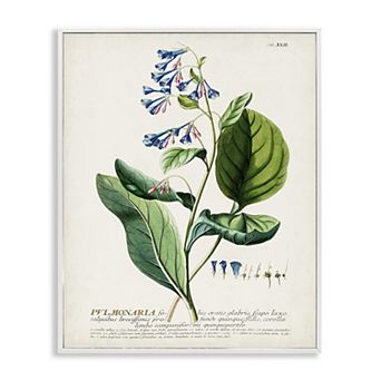 Stupell Home Decor Botanical Blue Flowers Vintage Design Framed Wall Art