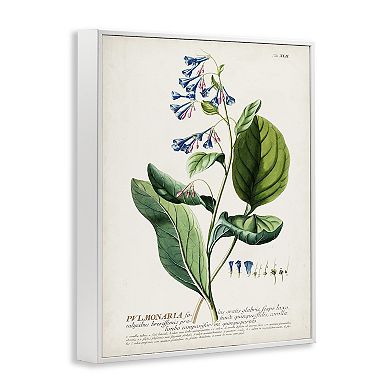 Stupell Home Decor Botanical Blue Flowers Vintage Design Framed Wall Art
