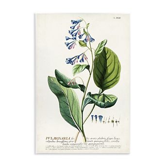Stupell Home Decor Botanical Blue Flowers Vintage Design Plaque Wall Art
